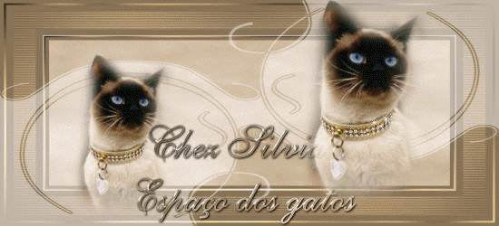 Super et heureux 2013 � tous !